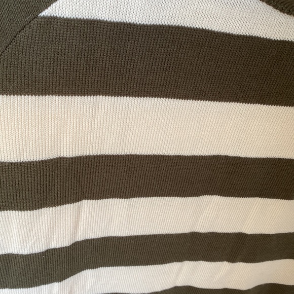 Pink Rose Olive Green Stripes Sweater Dress - 1X - Picture 3 of 4